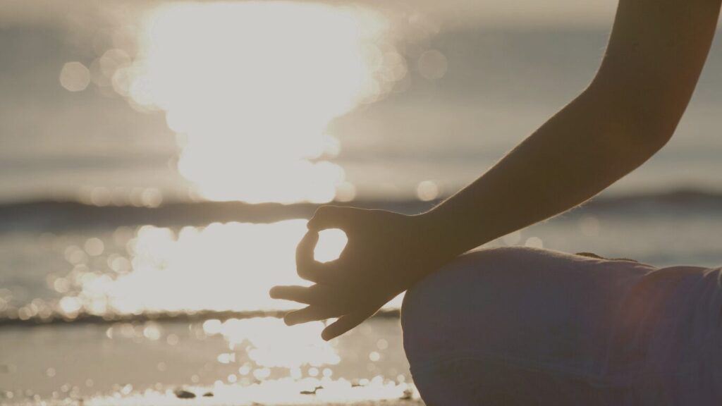 sham yoga は、2026年4月14日 open。